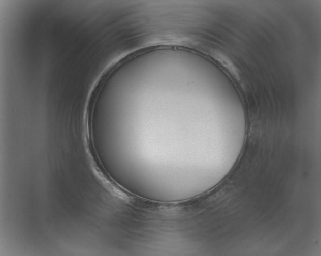 X0000073971080200609051839