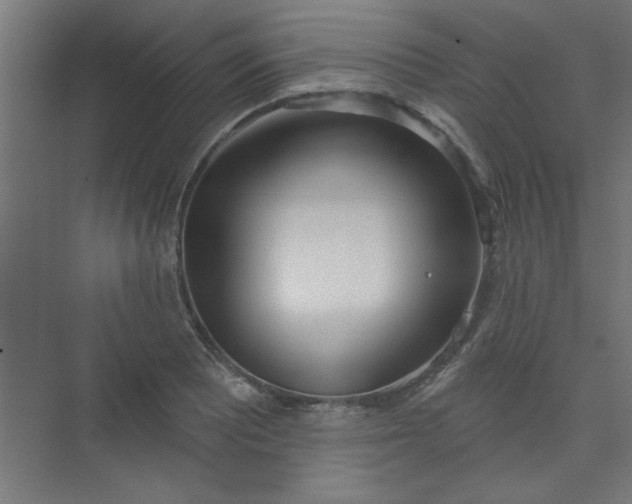 X0000073971081200609051839