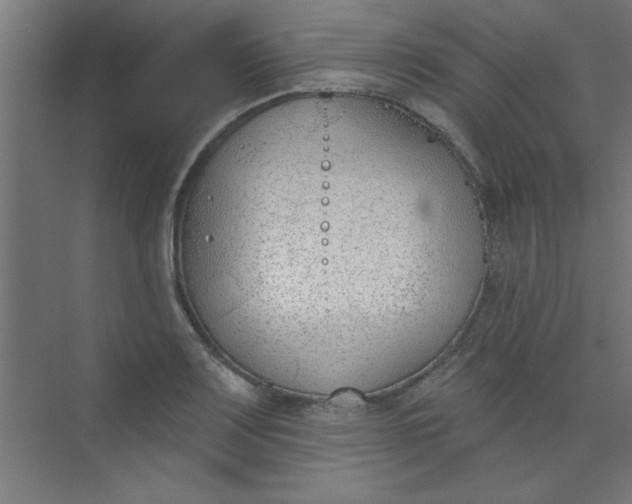 X0000073971083200609051839