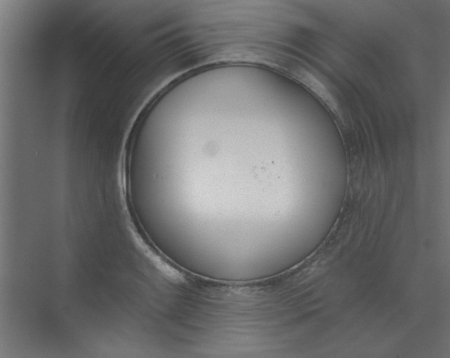 X0000073971084200609051839