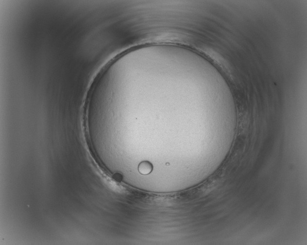 X0000073971086200609051839