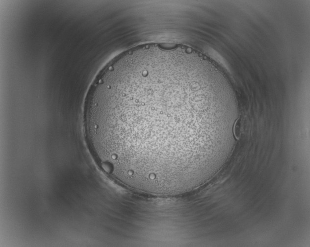 X0000073971087200609051839