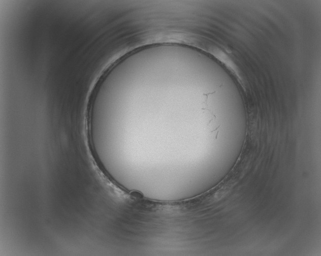 X0000073971088200609051839