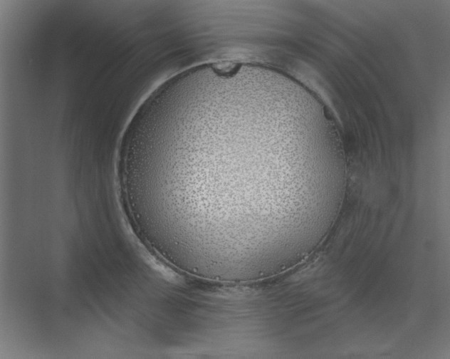 X0000073971091200609051839