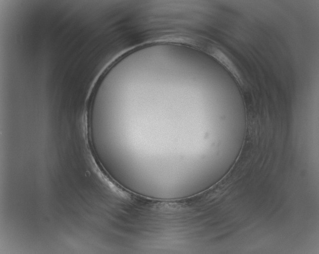 X0000073971092200609051839