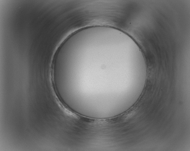 X0000073971094200609051839