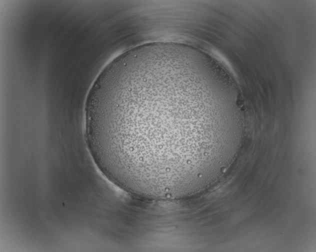 X0000073971095200609051839