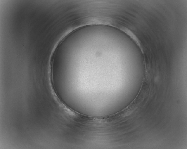 X0000073971096200609051839