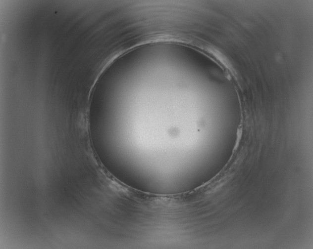 X0000073971097200609051839