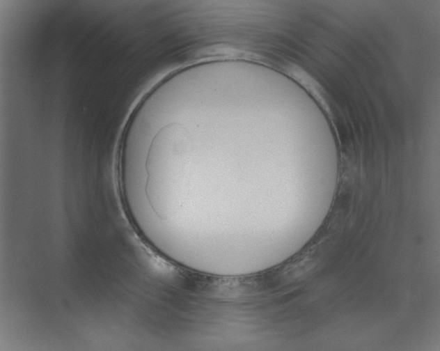 X0000073971098200609051839