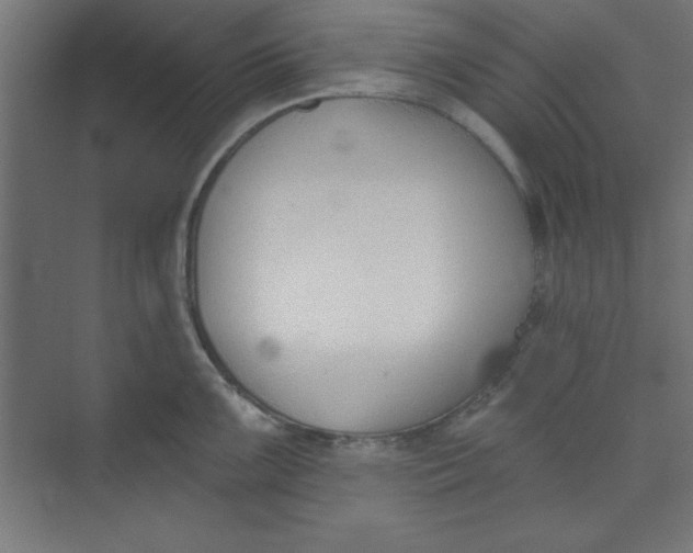 X0000073971099200609051839