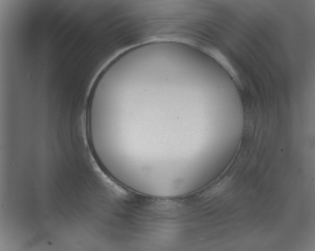 X0000073971100200609051839