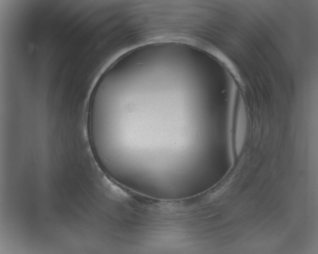 X0000073971102200609051839