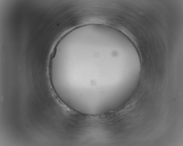 X0000073971104200609051839