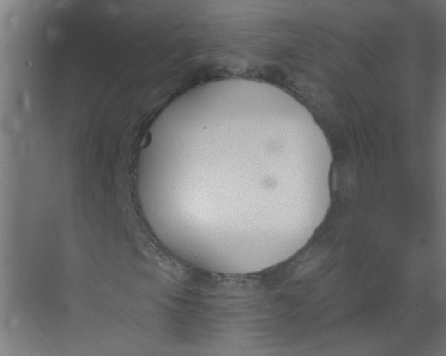 X0000073971105200609051838