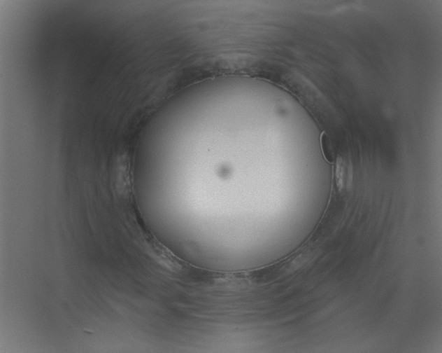 X0000073971107200609051838