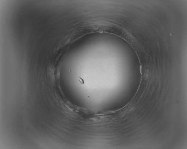 X0000073971108200609051838