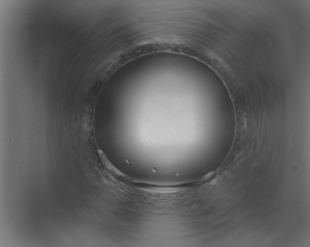 X0000073971110200609051838