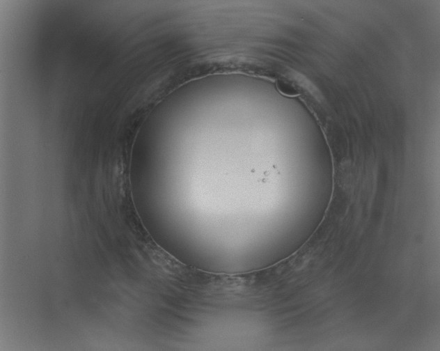 X0000073971111200609051838