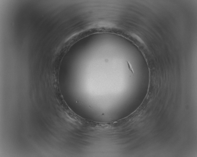 X0000073971112200609051838