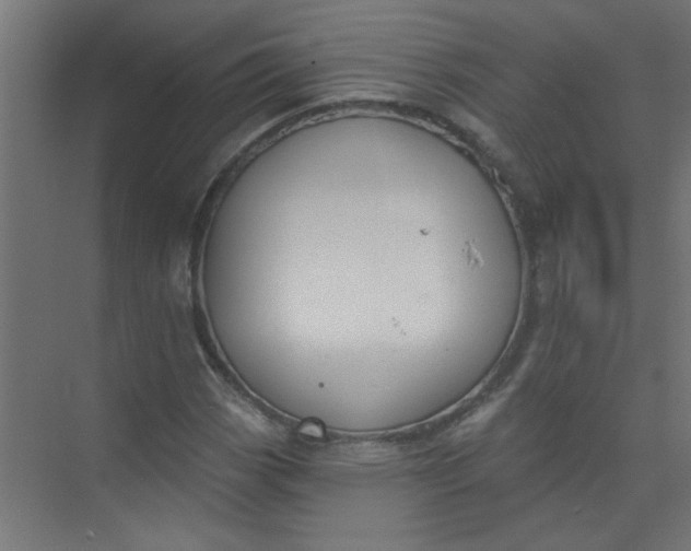 X0000073971113200609051838