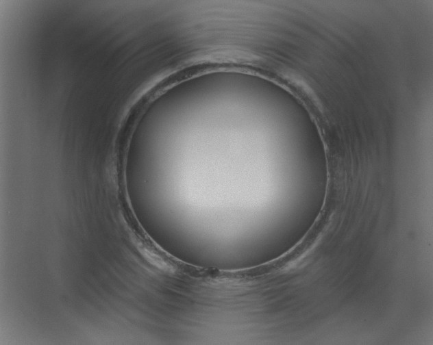 X0000073971114200609051838