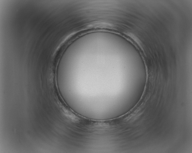 X0000073971115200609051838