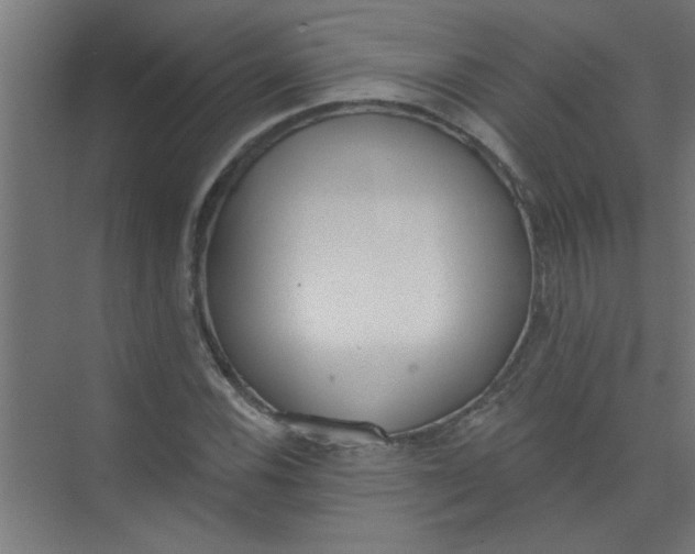 X0000073971116200609051838