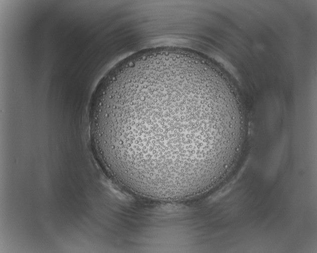 X0000073971117200609051838