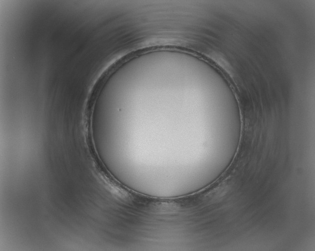 X0000073971119200609051838