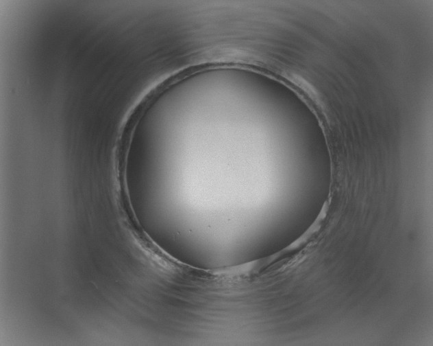 X0000073971120200609051838