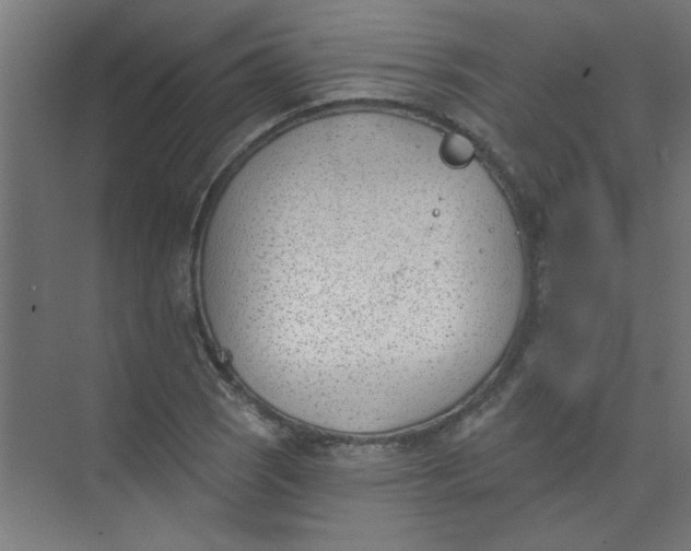 X0000073971121200609051838