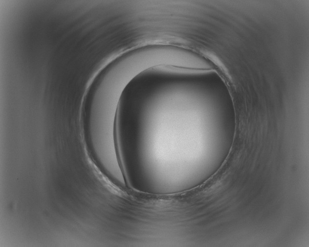 X0000073971122200609051838