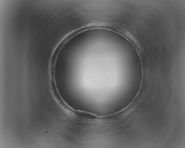 X0000073971124200609051838