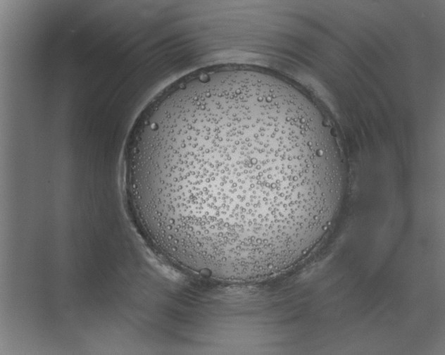 X0000073971125200609051838