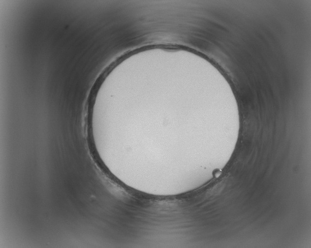 X0000073971126200609051838