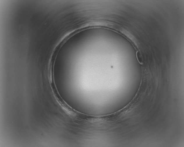 X0000073971127200609051838