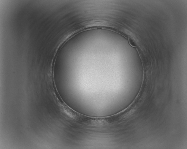 X0000073971129200609051838