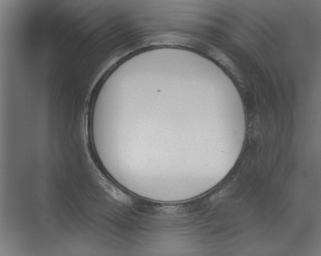 X0000073971130200609051838