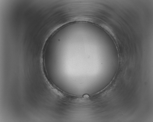 X0000073971133200609051838