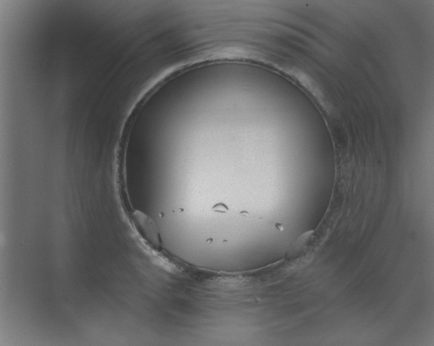 X0000073971134200609051838