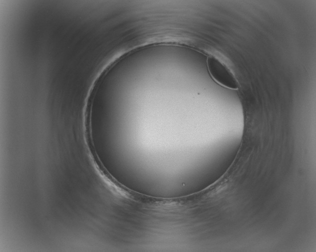 X0000073971135200609051838