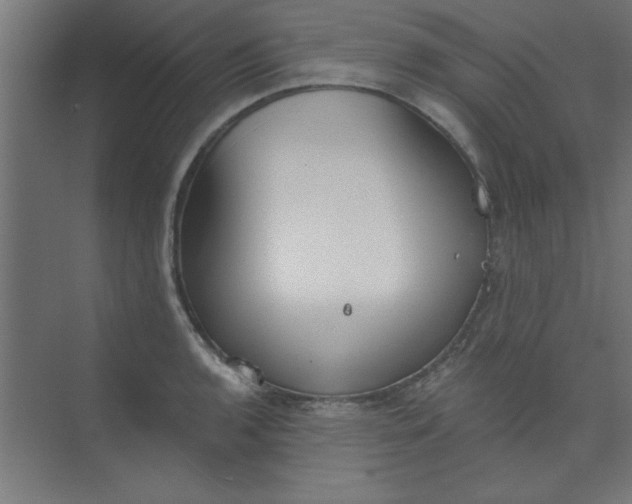 X0000073971136200609051838