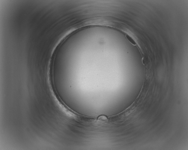 X0000073971139200609051838