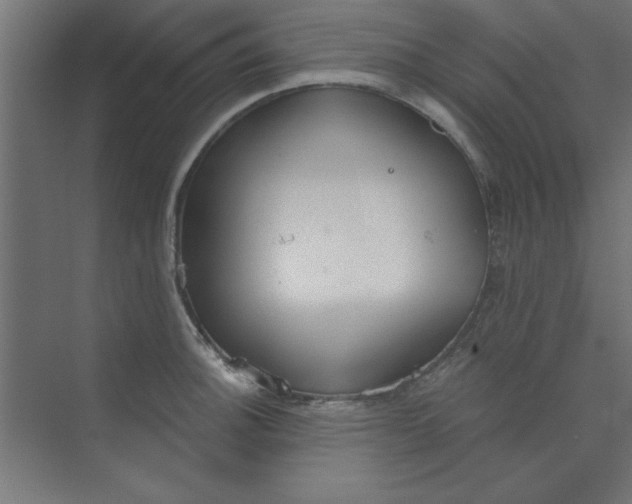 X0000073971140200609051838