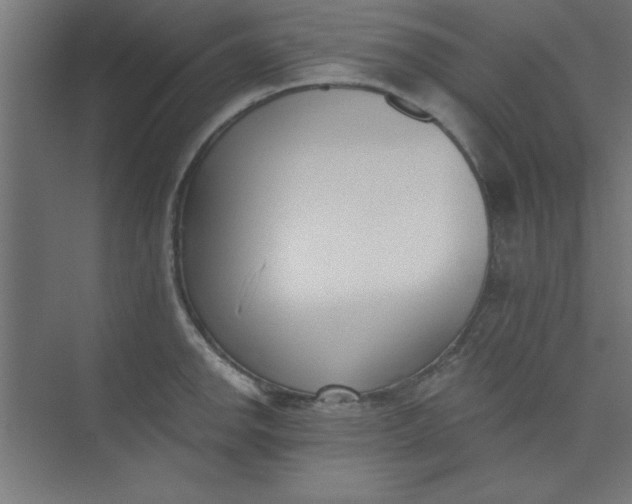 X0000073971142200609051838