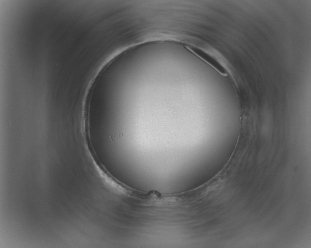 X0000073971143200609051838