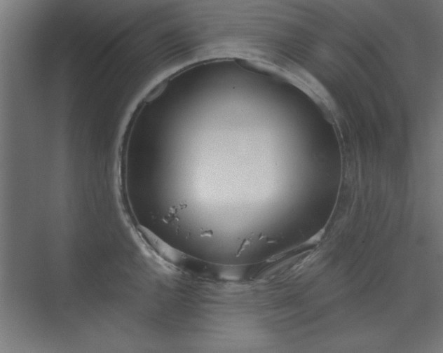 X0000073971144200609051838