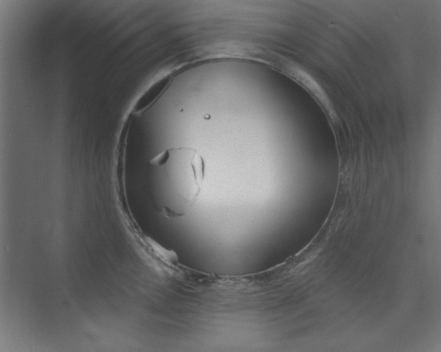 X0000073971146200609051838