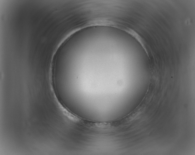 X0000073971147200609051838